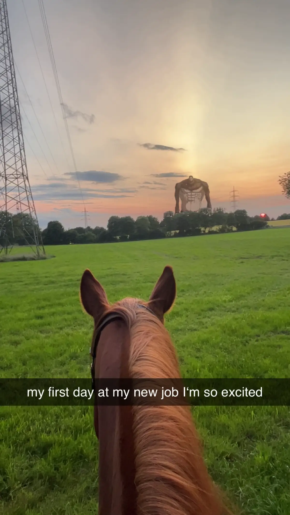 POV: You didn‘t read the job description carefully #AttackOnTitan #AoT #aot #commandererwin #commandererwinsmith #anime #fy #fyp 