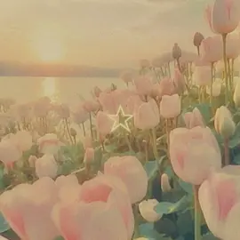 flowers tulipanes #CapCut #girls #paratiiiiiiiiiiiiiiiiiiiiiiiiiiiiiii #fyppppppppppppppppppppppp #meencanta #flowers #tulipanes 