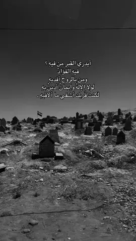 #لبوه #صلاح_الدين #بيجي #تكريت #fyp 