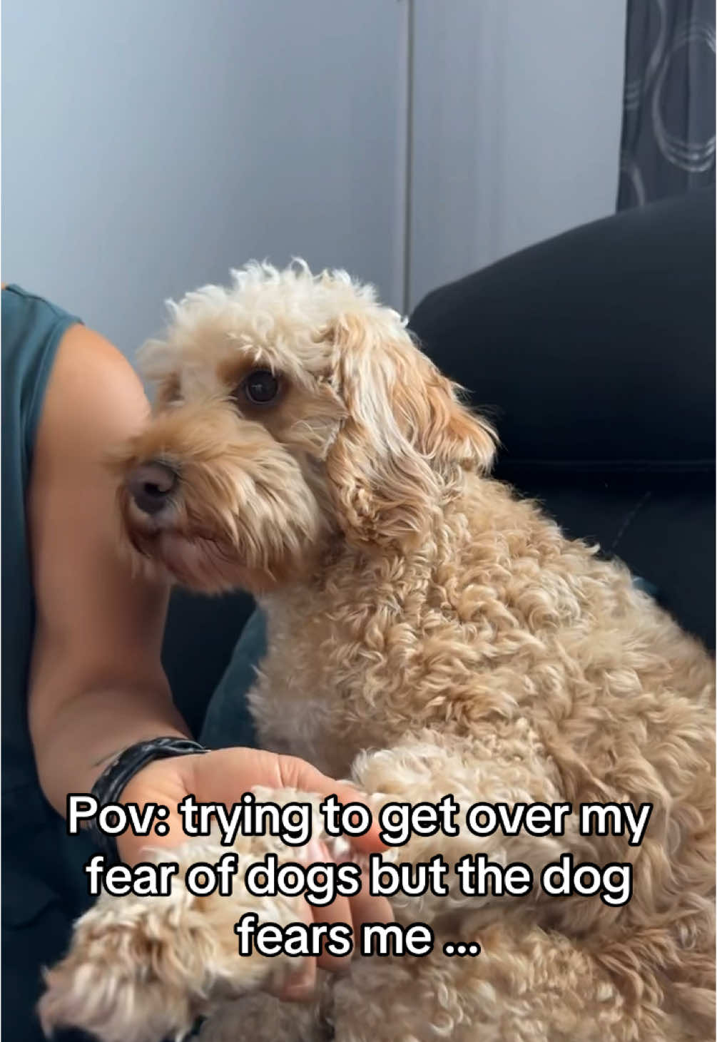 Bros fatphobic #fyp #foryou #phobia #dogs #puppy 