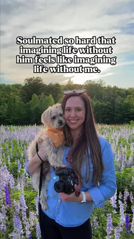 And when he’s gone, I’m not sure how I’ll ever recover.  🥺 luckily, that won’t be for a long, long time if I have anything to do with it. 💜 #soulmatedsohard #soulmate #souldog 