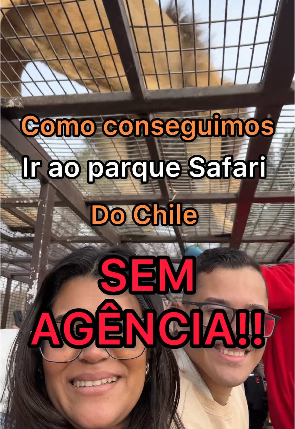 Como ir ao parque Safari do Chile sem agência ⚠️ Vídeo completo e com mais detalhes em nosso canal do YouTube link na bio. ✨✈️ #fy #foryoupage #trip #dicasdeviagem #chile #safari #viagem 