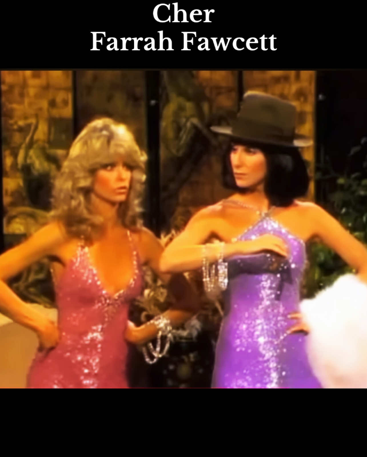 Cher and Farrah Fawcett team up for this funny skit.  #cher #farrahfawcett #sonnyandchercomedyhour 