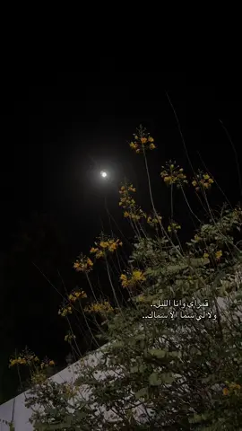 ليت ليالينا كلها قمرا #اكسبلور #قمرالليله #نجران #قصيد #شعر #تصميم_فيديوهات🎶🎤🎬 #fyp #explore #اكسبلورر 