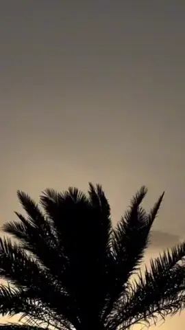 #العراق #🥀🖤 #🌴 