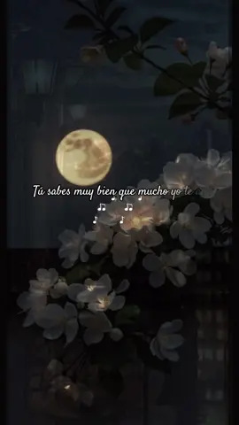 No hay mal que por bien no venga @Zacarias Ferreira #bachata #romantico #fyp #musica #fyppppppppppppppppppppppp #Love #tiktok #nyc #foryoupage #musicvideo #musicaromantica #fypシ #paratii #fanpage #usa🇺🇸 #rd #mexico #pppppppppppppppp #letrasdecanciones #nyc 