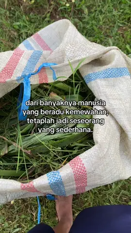 😇#masukberanda #petanimuda #fyp #foryou #peternakmuda #tukangngarit #lewatberanda 