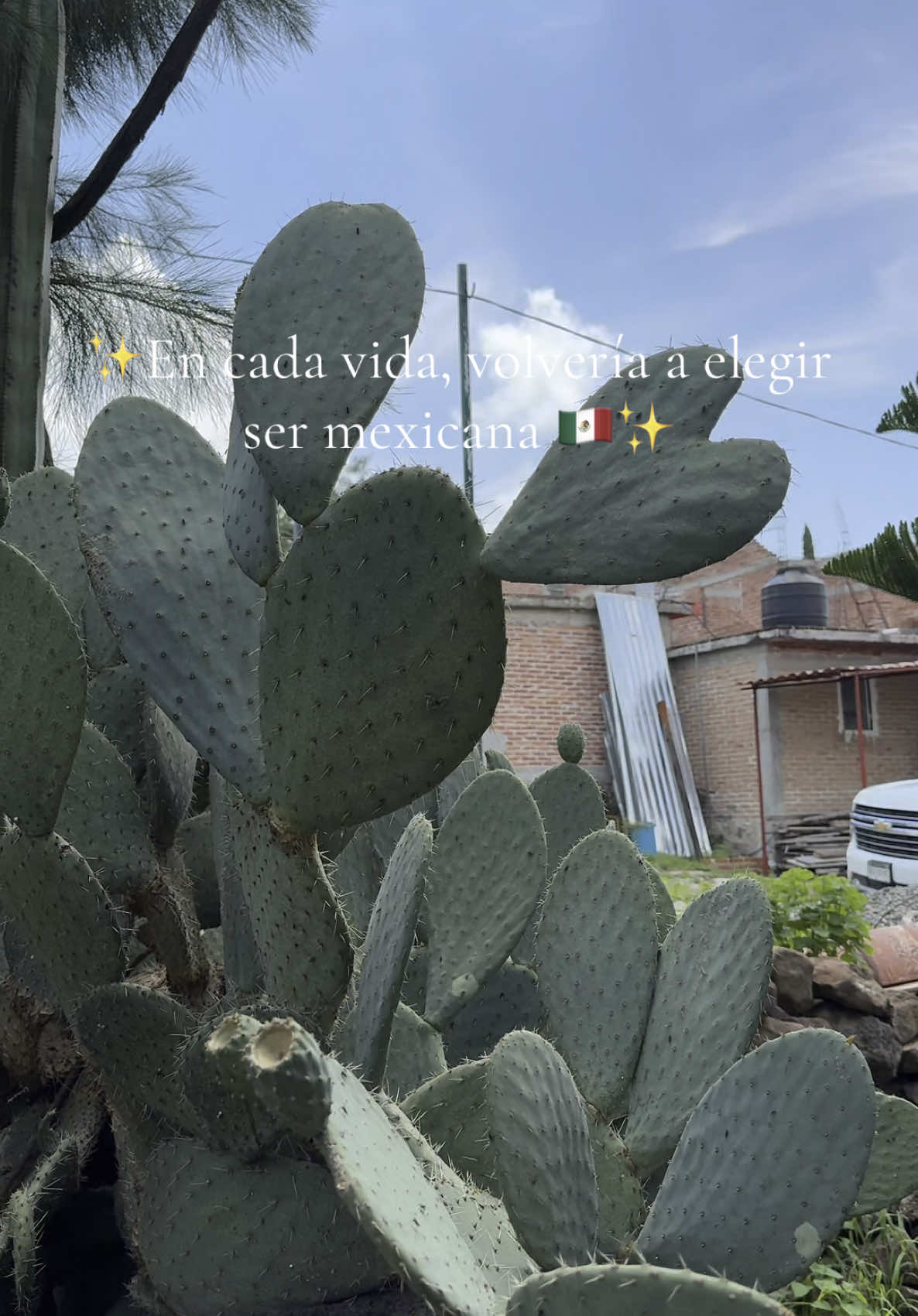 💖🇲🇽 #mexico 