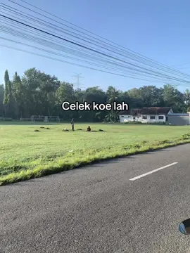 Ngerti celek pora koe hah #4u #fypシ゚ #kebumen #kebumen24jam #ngapak 