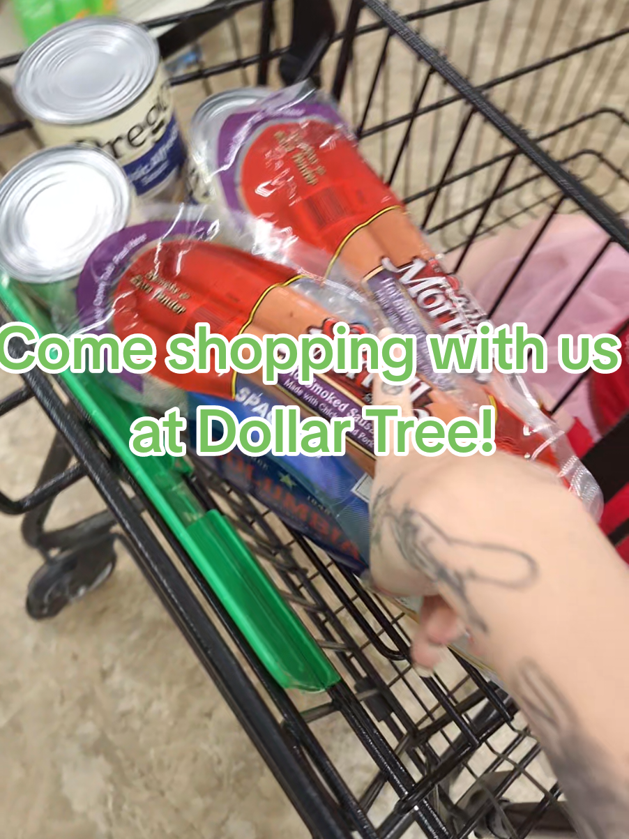 Come to dollar tree with me!  #dollartree #dg #dollartreemeals #dollartreefinds #cheapmeals #easymeals #cheap #5dollars #support #help #pregnant #mom #momof2 #pregnantlife #viral #viralvideos #comeshoppingwithme #shopping 