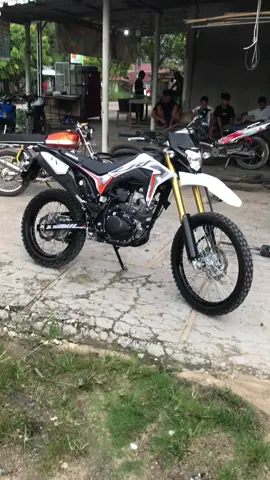 ga sabar klo style surex pasti gantengg😍😍 #crf150l #hondacrf #untagank🚀 #crfstandarpabrik #surexgank🔥 #surexstyle #fyp #trailcrf #fypcrf150 #jambipride #crf #trailcrf150l 