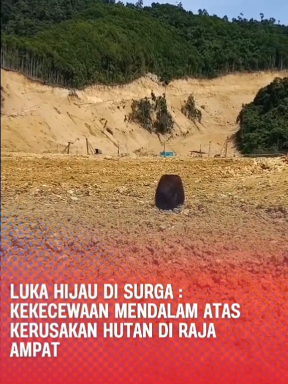 Dalam beberapa tahun terakhir, laporan demi laporan bermunculan tentang pembukaan lahan, penebangan liar, dan izin konsesi yang diberikan kepada perusahaan besar untuk mengeksploitasi hutan Raja Ampat. Dengan dalih pembangunan dan peningkatan ekonomi daerah, pemerintah pusat dan daerah tampak begitu mudah memberi lampu hijau bagi investor, tanpa mempertimbangkan dampak ekologis jangka panjang. #LukaHijauRajaAmpat #SaveRajaAmpatForest #RajaAmpatMenangis #KerusakanHutanRajaAmpat #PrayForRajaAmpat #EcoCrisisRajaAmpat #HutanKitaSurgaKita #KeadilanUntukRajaAmpat #StopPerusakanHutan #lingkunganlestari 