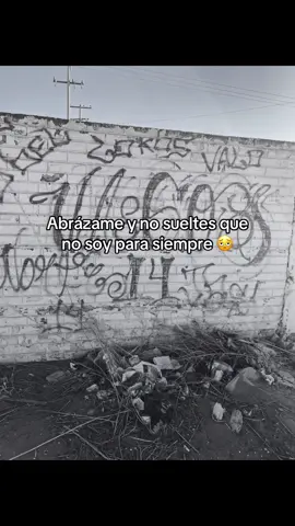 #suciaelegancia #SIGANMEPERROSSSSS