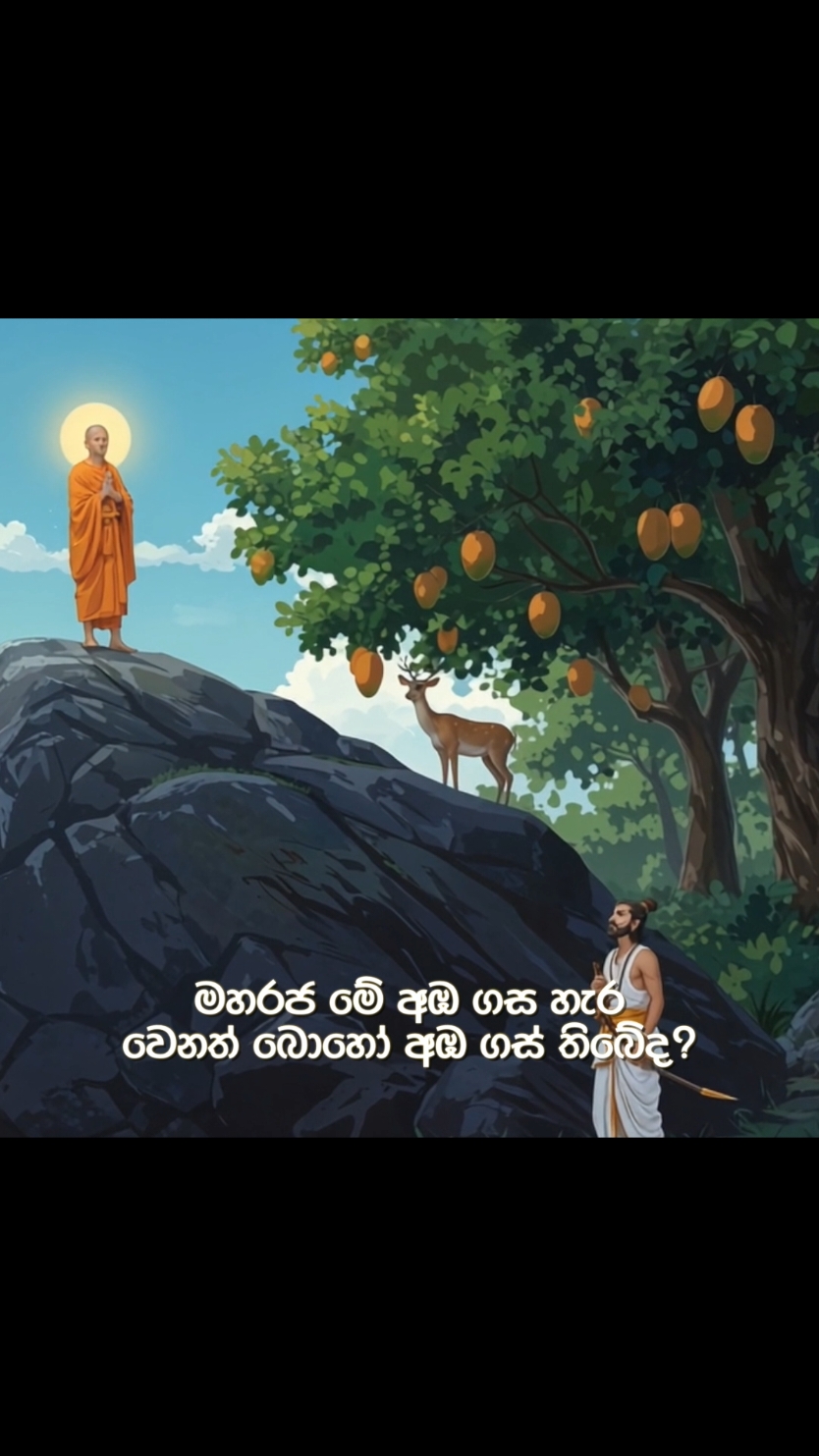පොසොන් පෝදා මිහින්තලයෙන් ඇසුණු අඹ පැනය #foryou #foryoupage  #poson #posonpoya #mihinthale #mihindu #poyadaypost #poyadaythought  #Sadaharitha