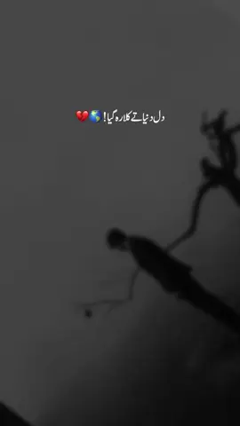 Dil duniya te kal-la reh gya ! 💔 #fypppppppppppppppppppppp #foryou #youlosthim #unfrezzmyaccount 