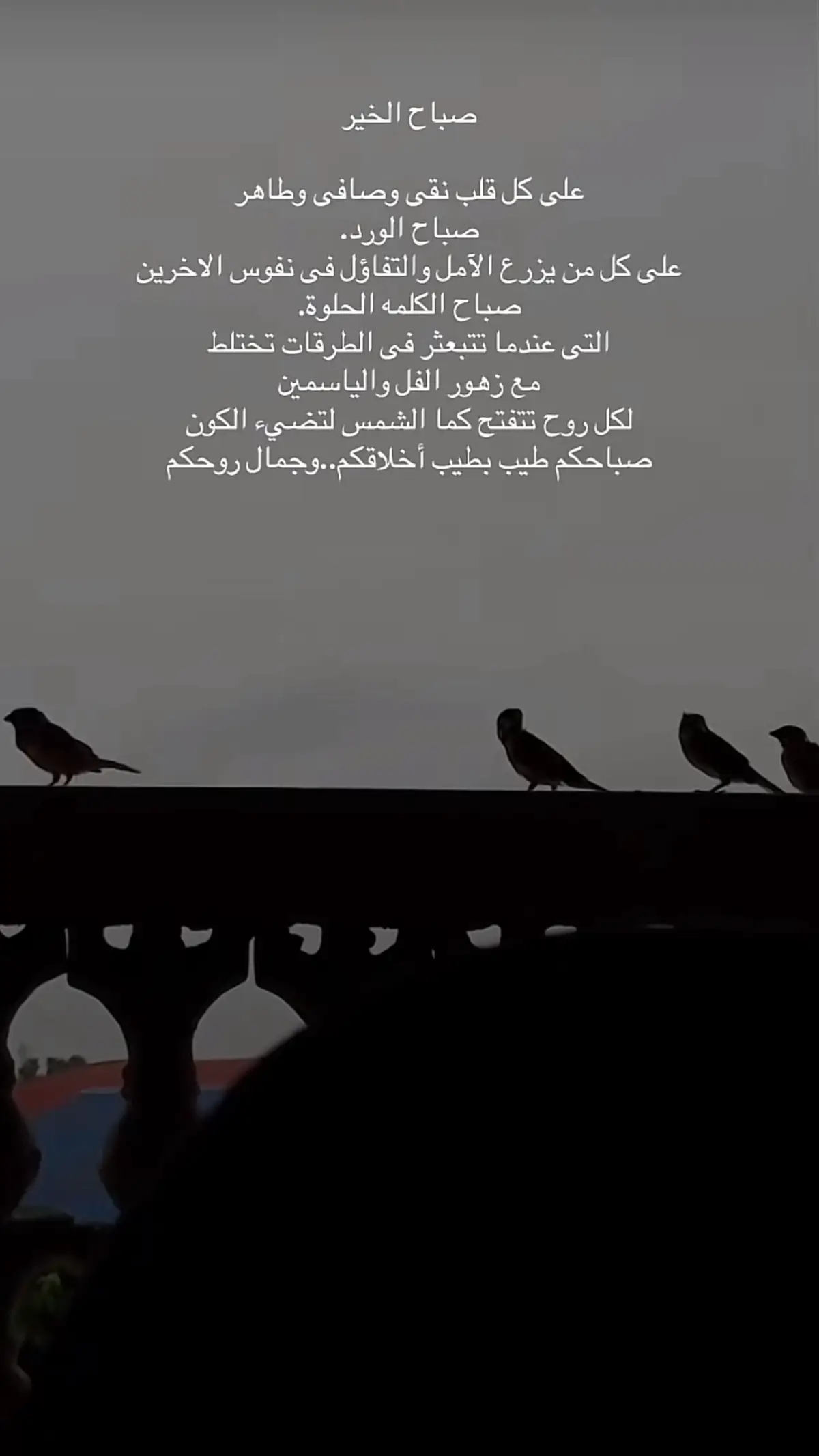 #صباح_الخير #احلي #صباحكم_أحلى_صباح #تيكتوك #كومنتات #جده 