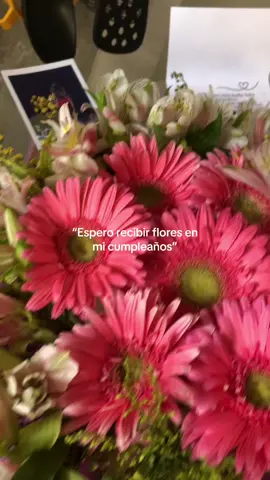 Mis flores favoritas😭💗 #flores #paratiiiiiiiiiiiiiiiiiiiiiiiiiiiiiii 