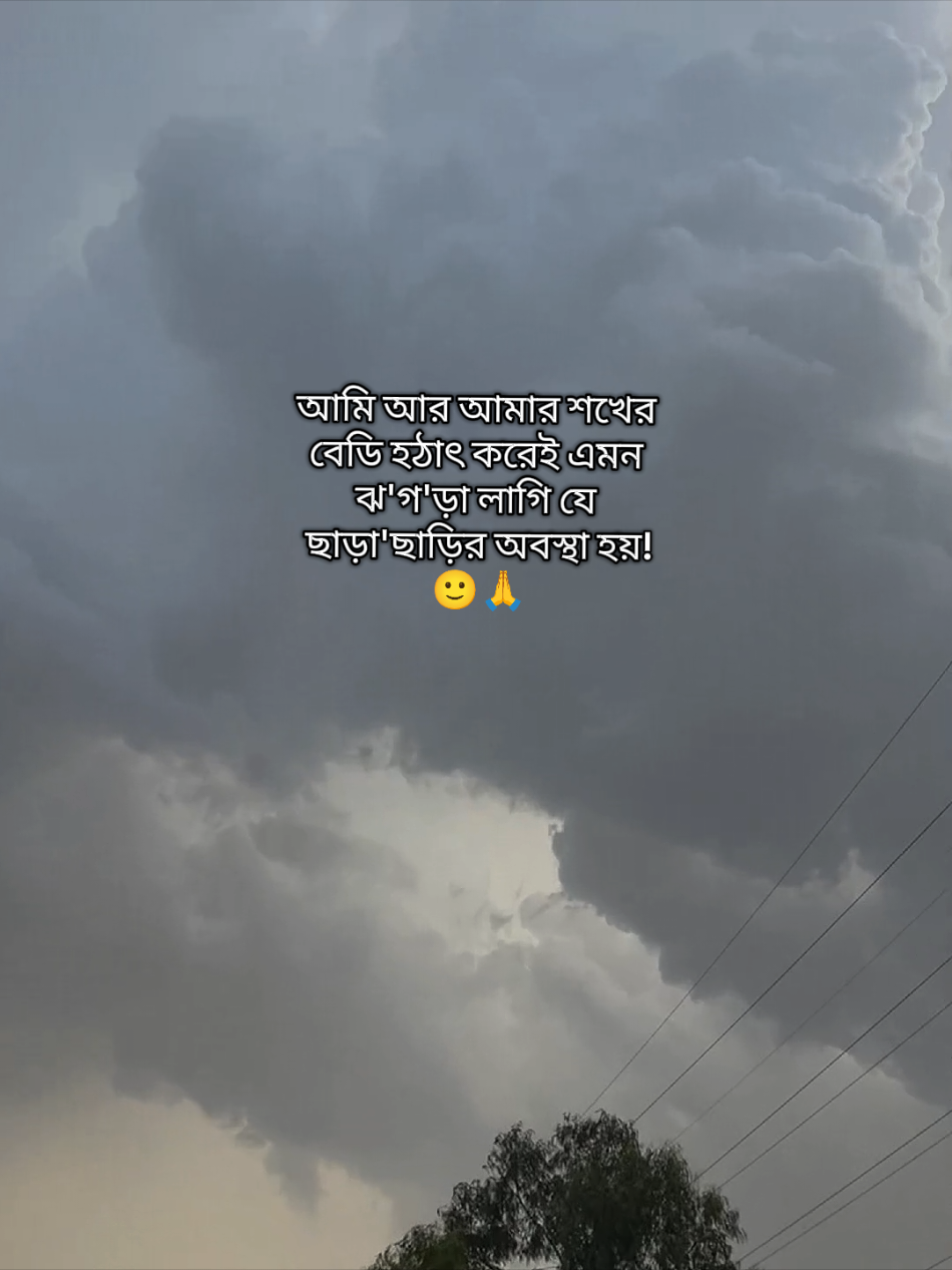 Sokher bedi kothai kothai cheita jay..!😫🤭🤌#viral #tiktok #grow #foryou #foryoupage 