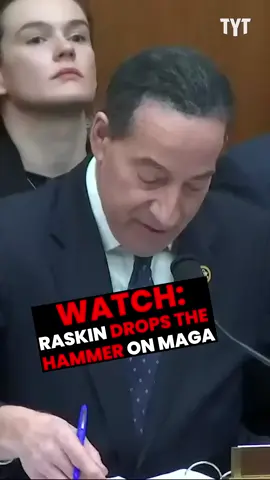 Jamie Raskin SOUNDS OFF 🔥
