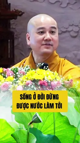 Sống ở đời đừng được nước làm tới #phatphapnhiemmau #nguyennguoiann #thichphaphoa 