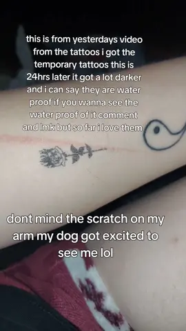 the temporary tattoos from yesterday's video do far I do love them, they are water proof if you wanna see that lmk and they do get darker in 24hrs I do love them  #temporarytattoos #inkartlink #fyyyyyyyyyyyyyyyy #fypage #fy #arizonacheck #smallcontentcreator #fyou #tattoo 