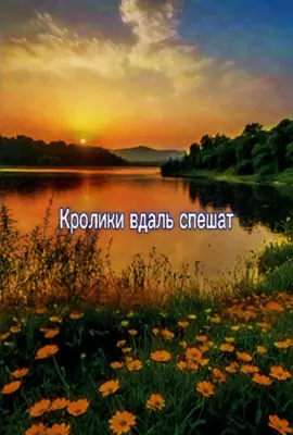 самая наверное добрая песня Егора)  #летов #егорлетов #егорлетовжив #гражданскаяоборона #зачемснятьсясны #кролики #гроб #егордохлый 