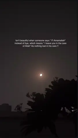 ✨
