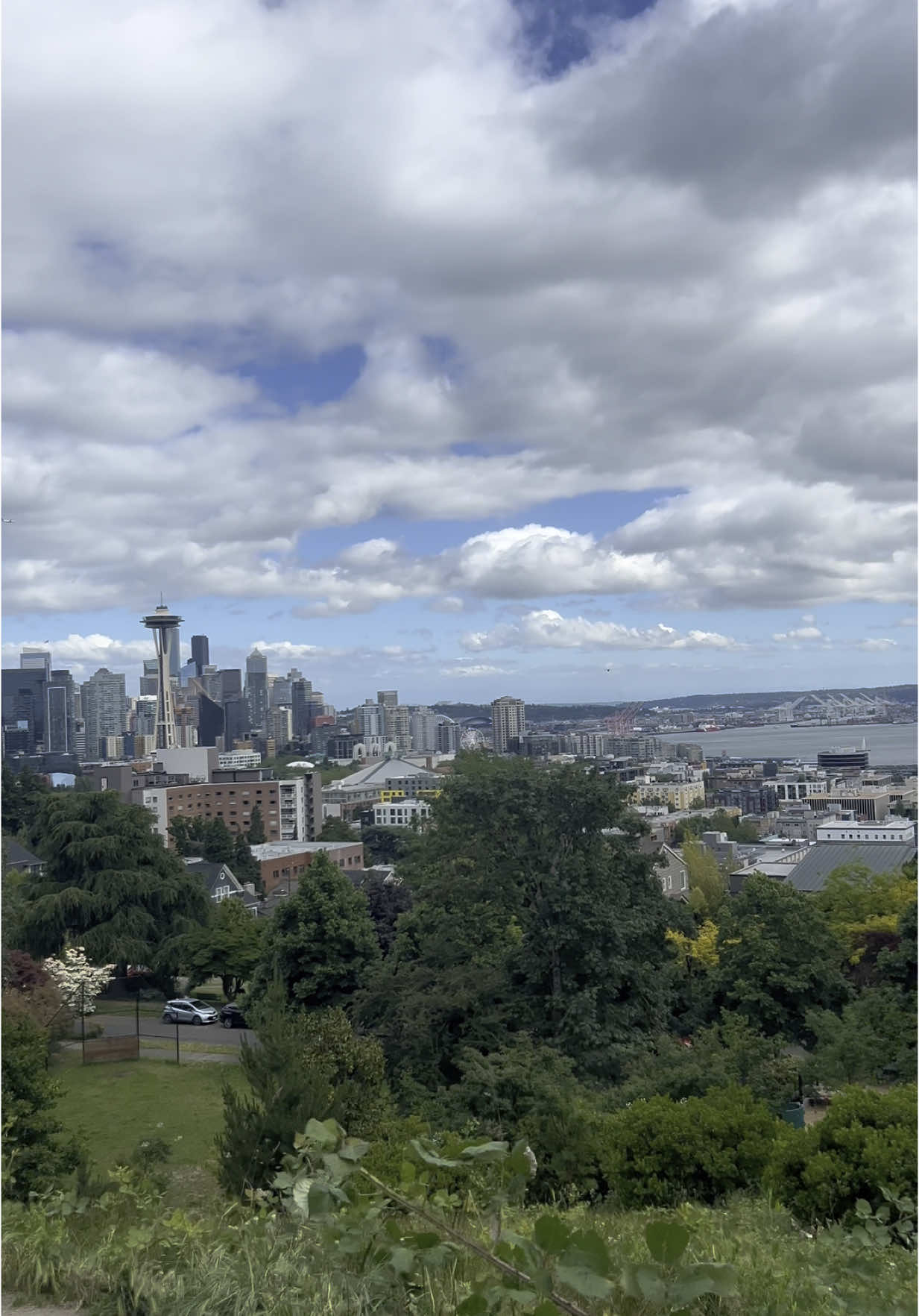 #kerrypark #seattle #washington #foryoupage #fyp 