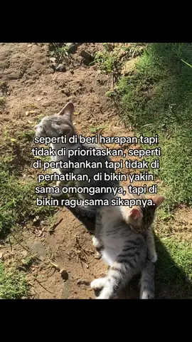 #sadstory #follow 