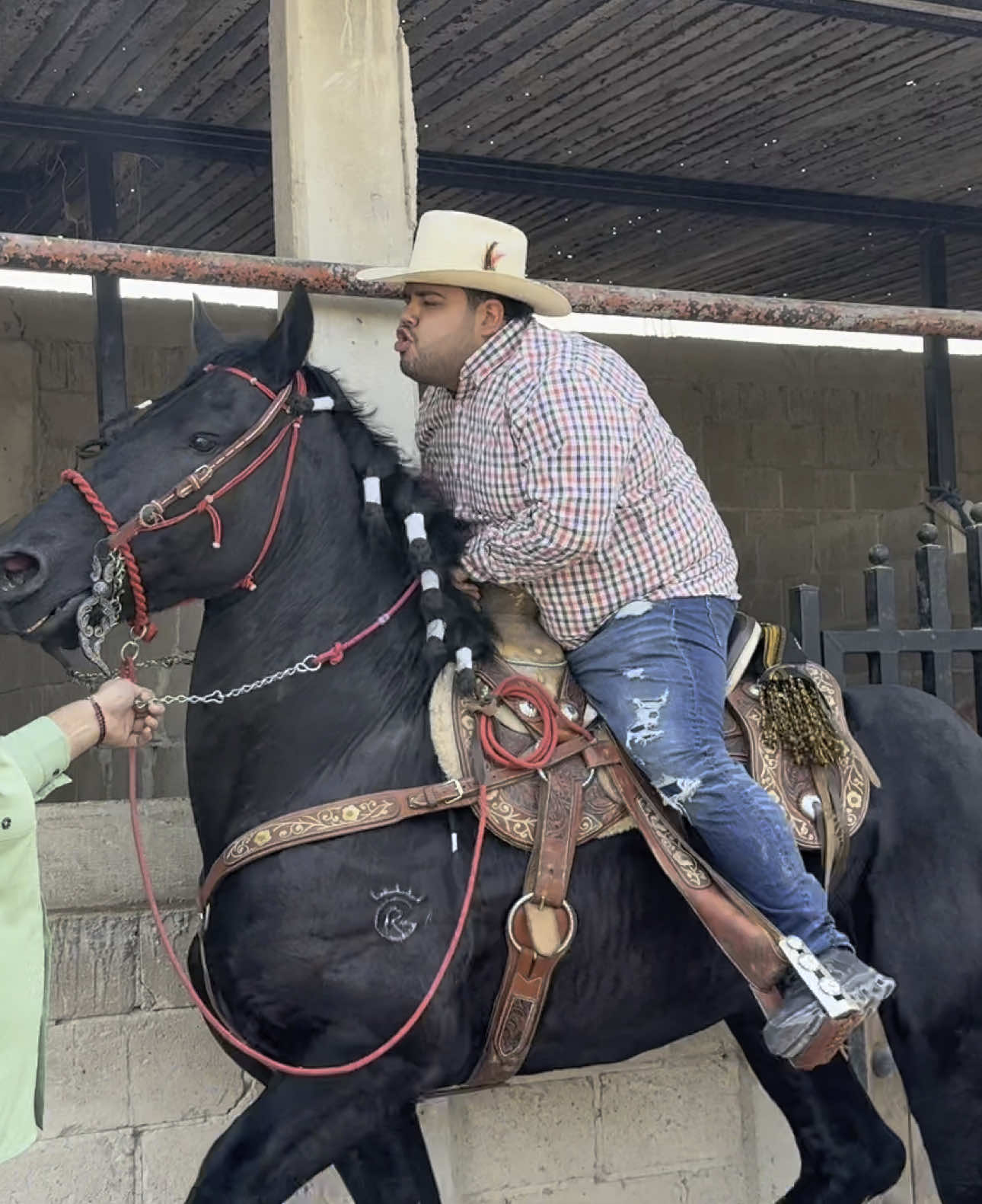 ASÍ SE BAILA UN CABALLON CON CARA DE MALO PA VERSE MÁS GUAPO😳🐴🤣🔥‼️#lostoys #elgordoarce #parati #caballos 