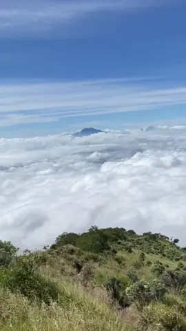 Kebelet ngising😩 #pendakigunung #fyp #pendakiindonesia #pendaki #gunung 
