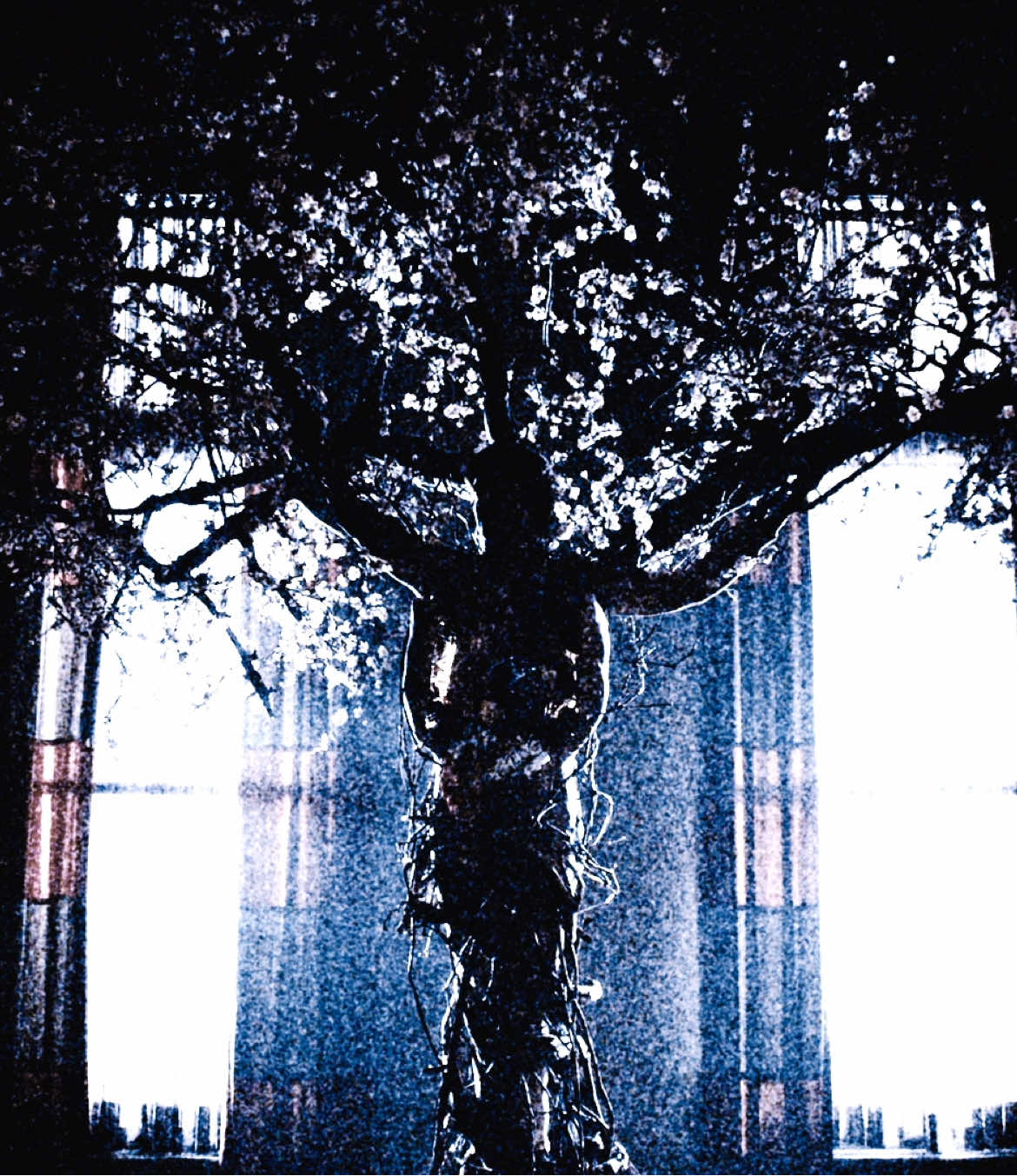 #hannibal #hanniballecter #madsmikkelsen #edit #foryou #hekhis 