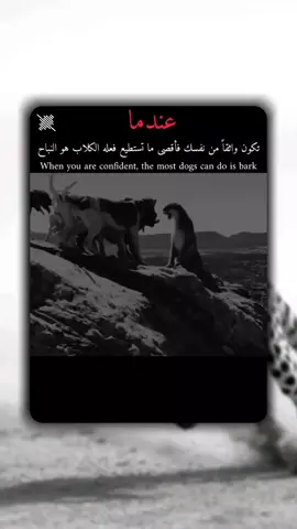 ☠︎︎𝑴𝒀 𝑺𝑻𝑶𝑹𝒀☠︎︎#ستوريات #متنوعة #عبارات #فخمة #مليون_مشاهدة❤ #شويا_دعم_خاوتي_ربي_يحفظكم💞🍯 #الجزائر🇩🇿_تونس🇹🇳_المغرب🇲🇦 