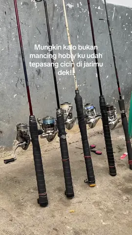 Yg jadi msalah nya sekarang gk ad cewek nya yg mau di pasang 😂🤣🤣#fyp #shimano #fypage #galapungikanamas @abdi015 