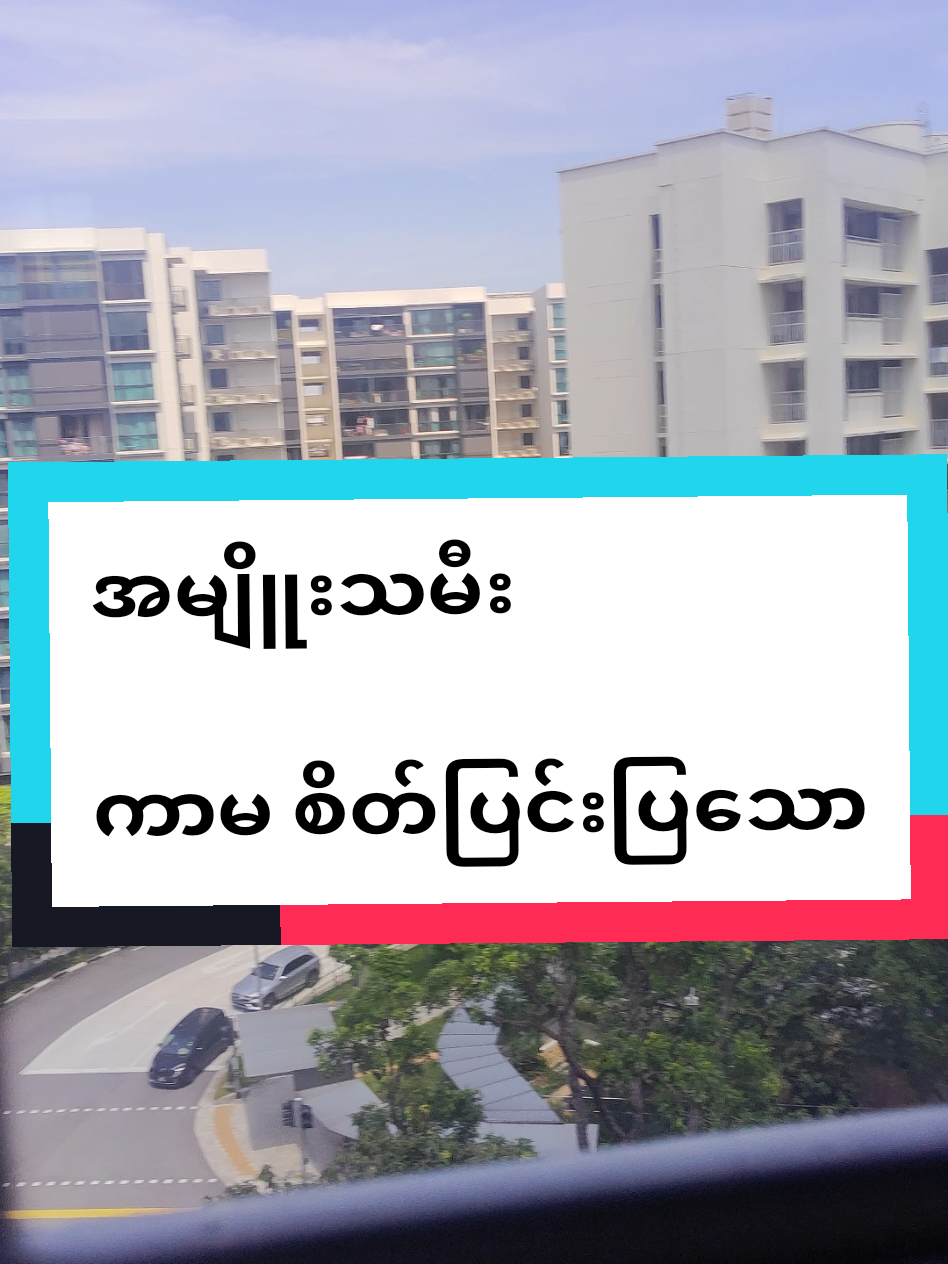 #ဗဟုသုတအဖြစ်တင်ပေးတာပါနော် #tiktokmyanmar #tiktokviral #မြင်ပါများပီးချစ်ကျွမ်းဝင်အောင်လို့🤒🖤 #စလုံးမြန်မာအိမ်ရောက်ငွေချေရ🇸🇬🇲🇲 