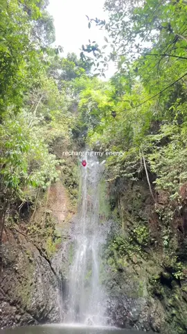🍃
