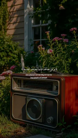 #محمد #صديق#المنشاوي  #القران_الكريم 