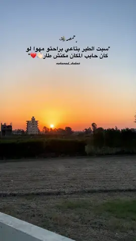 #foryou #حمصه🐺 