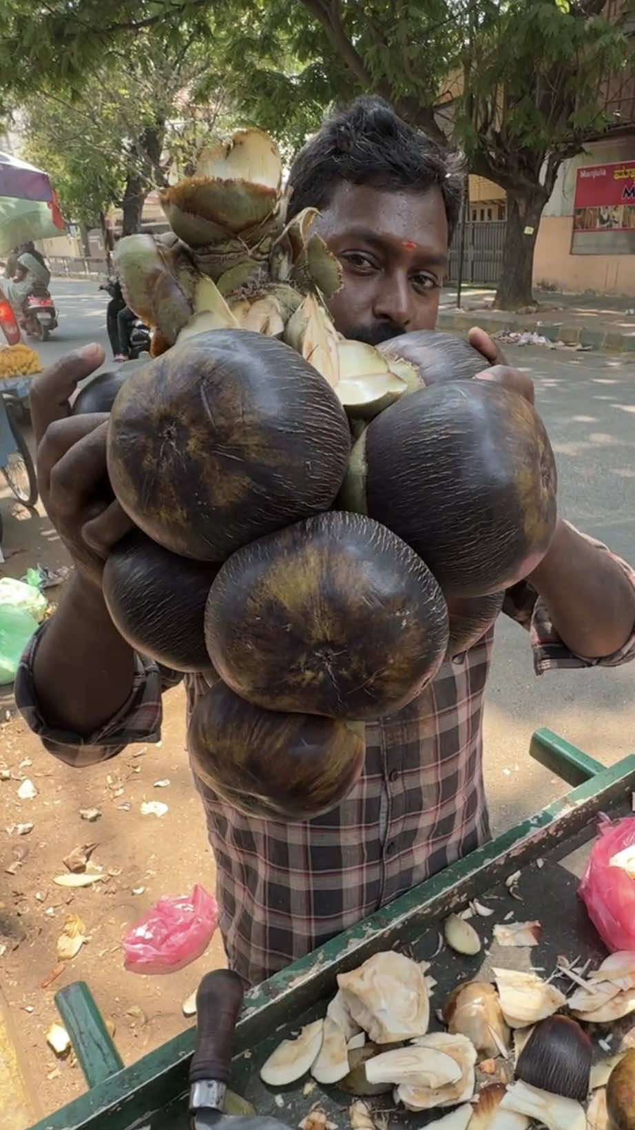 How To Cut Asian Palmyra Palm Fruit 🔍 Business name  Palmyra Palm Fruit  📍Address Bangalore, India 💵 Price  50 Rupee/$ 0.60 USD