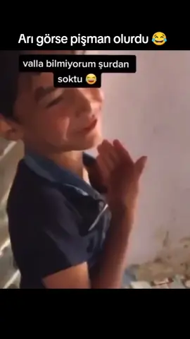 ne soktu arı soktu # arı görse pişman olurdu 😂