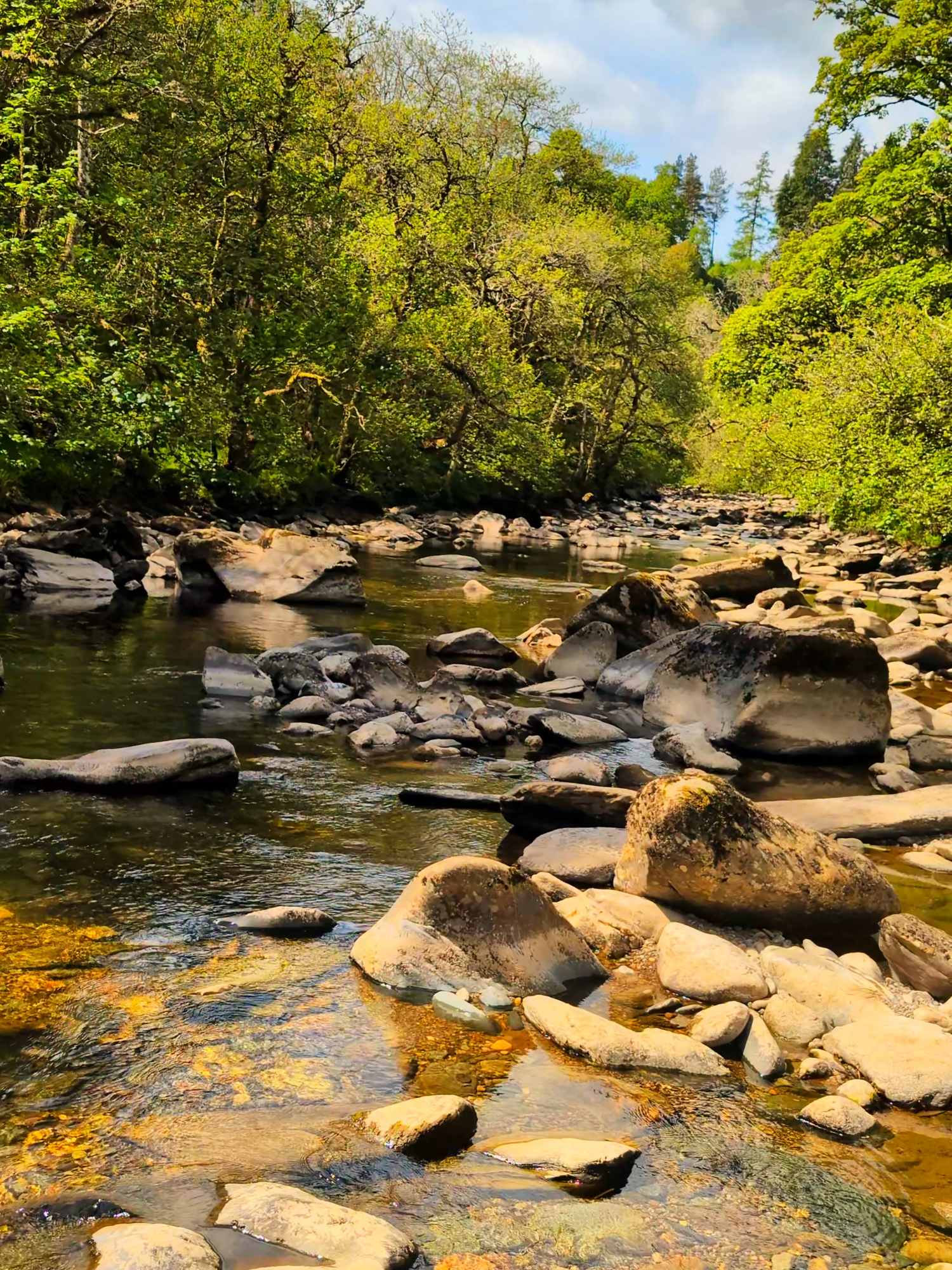 For everyone that needs some relaxing music in their feed 💚 #relaxingmusic #watersounds #sleepmusic  Music: Peder B. Helland - Soothing Relaxation