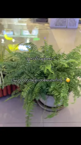 ဟုတ်….”#fouryoupage #fpyシ #fouryou #foryoupage #fpyyyyyyyyy #fpyシ #fouryoupage #foryoupage #fpy_tiktok #fpyシ 