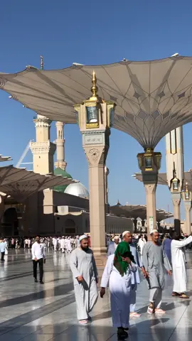 يا حبيب سلام عليك يا رسول سلام عليك  ♥️🕌 #المدينة_المنورة #المدينة_المنورة_الآن #الروضة_الشريفة #صلوا_على_رسول_الله #رسول_الله_صلى_الله_عليه_وسلم #صلى_على_رسول_الله_صل_الله_عليه_وسلم #tiktok #ماهر_زين🎧 