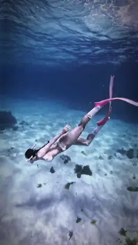 Lặn Freediving ở đảo Phú Quý chỉ có sĩ thôi mấy bà ơi:v  #CapCut #freediving #daophuquy #phuquyisland  