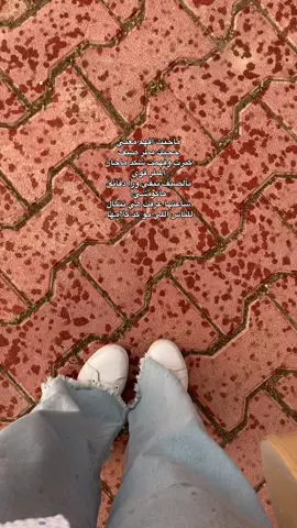 #🤍🤍🤍🤍🤍🤍🤍🤍🤍🤍 #جافيلاند_السليمانيه❤️‍🔥 