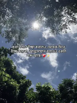 কথা বলতে ইচ্ছা করলেও, মেসেজ দিতে ইচ্ছে করেনা, আত্মসম্মান বলতেও একটা শব্দ আছে#fffffffffffyyyyyyyyyyypppppppppppp #1m #foryou #vairalvideo #foryoupagey #bdtiktokofficial #evryone #forever #fypシ゚viral 