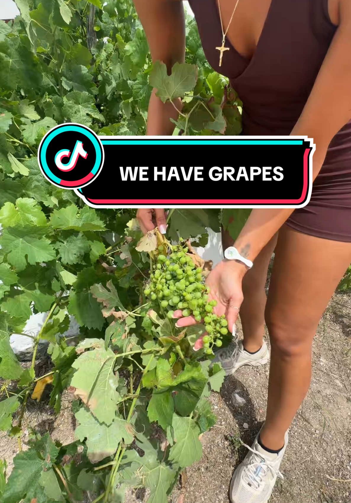 Give me some things to make out of grapes??? #fyp #grapes #ibiza #farmlife 