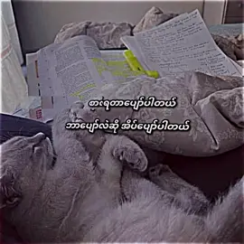 ဟုတ်တယ်ဟုတ်#viweတတ်စမ်းကွာ👊💜 #myanmartiktok🇲🇲🇲🇲 #foryourpages #foryoupageofficiall #စာတို☯ #tiktokviral #fypg 