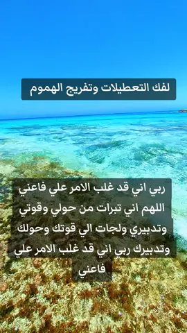 #الشعب_الصيني_ماله_حل😂😂 #مراسي_الساحل_الشمالي #مشاهير_تيك_توك #مالديف_مصر #مصر🇪🇬 #السعودية🇸🇦 #عمان🇴🇲 #ليبيا🇱🇾 #لبنان🇱🇧_سوريا🇸🇾_فلسطين🇵🇸_تركيا #تركيا🇹🇷اسطنبول #البحرين🇧🇭 #الاردن🇯🇴 