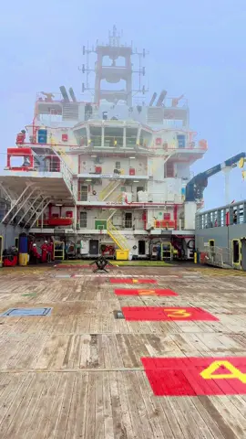 #offshore TC VENUS 